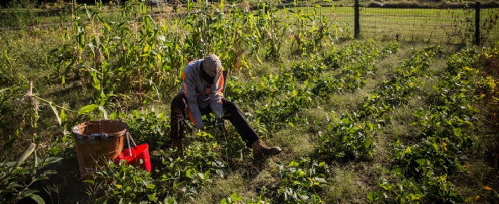 Listen To The Best (And Maybe Only?) Rap Song About Gardening