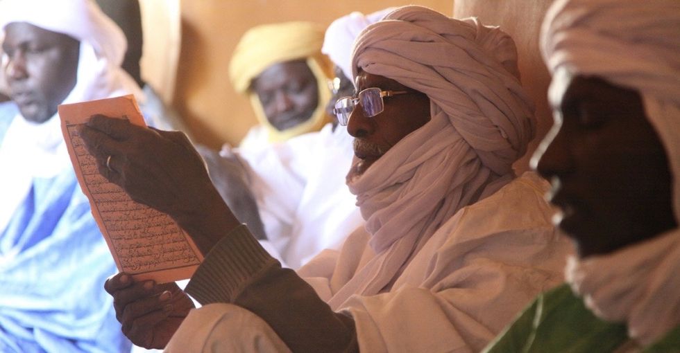 The epic true tale of the vigilante librarian who saved thousands of books from jihadists.