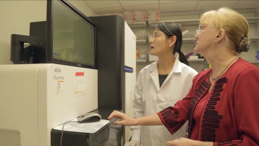 Want to understand better how human traits are passed on? Just study the fruit fly.
