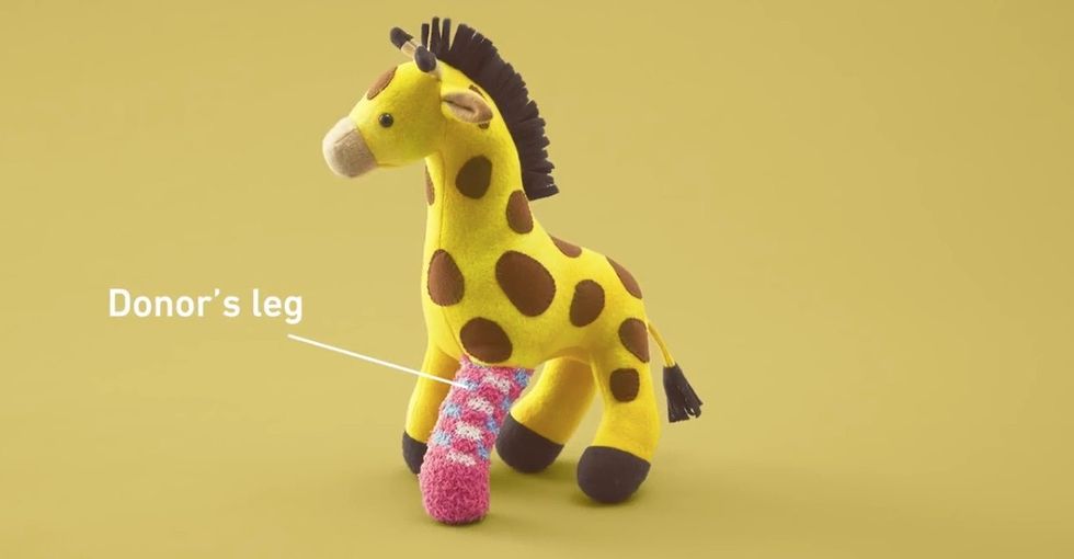 How stuffed animals are making organ donation a little more accessible
