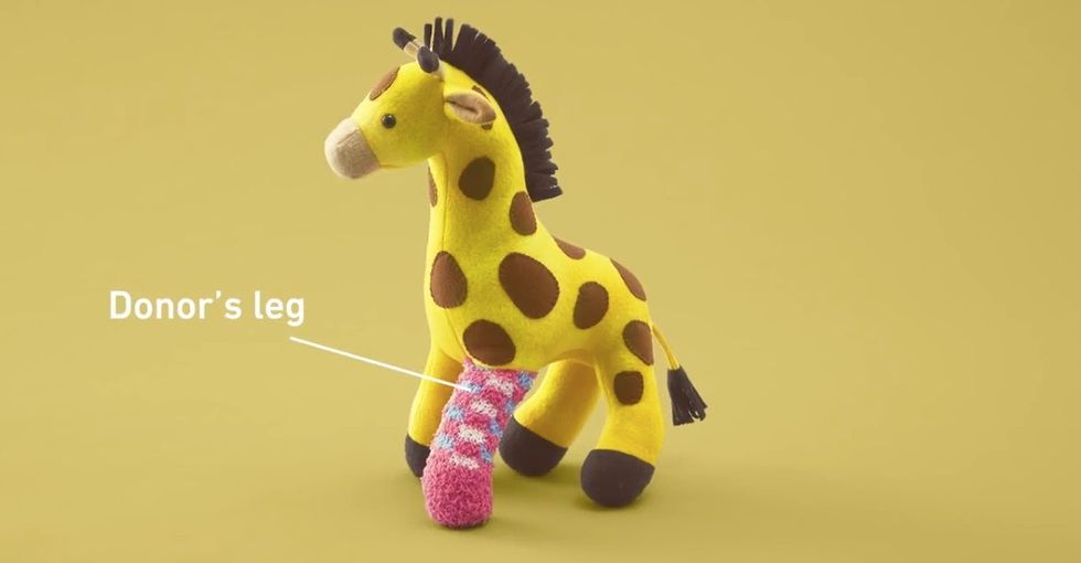 How stuffed animals are making organ donation a little more accessible.