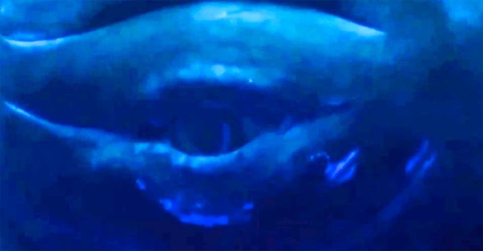 Something alive is moving about half of the water in the oceans.