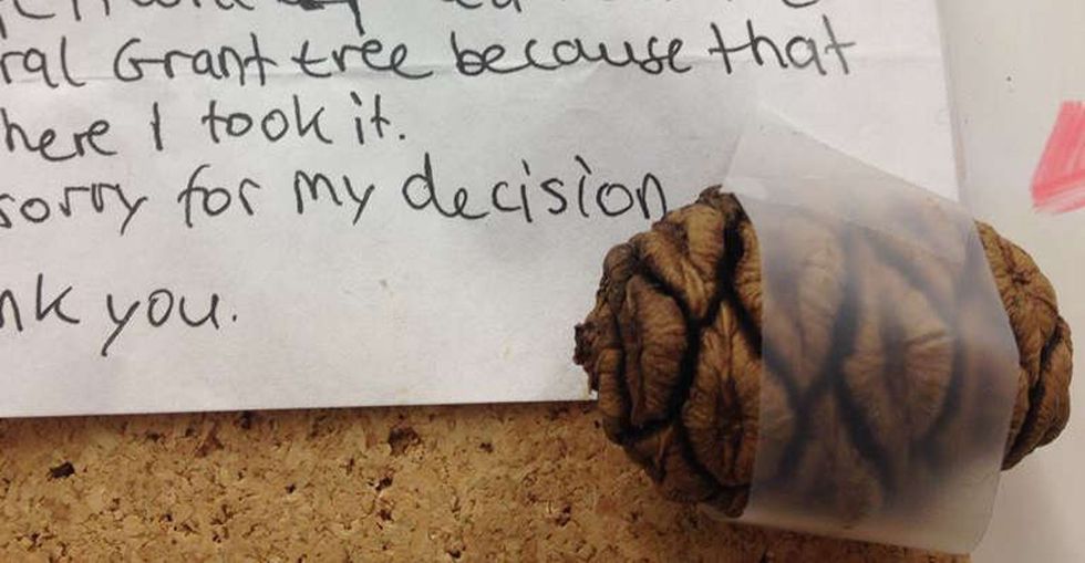 A national park worker opened a bumpy envelope to find an adorable note — and a surprise.