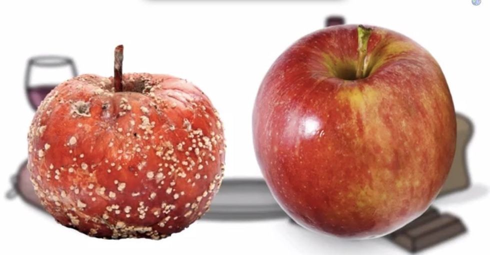 If I Told You What Was In Your Favorite Foods, You Might Not Eat Them. Here's Why You Should.
