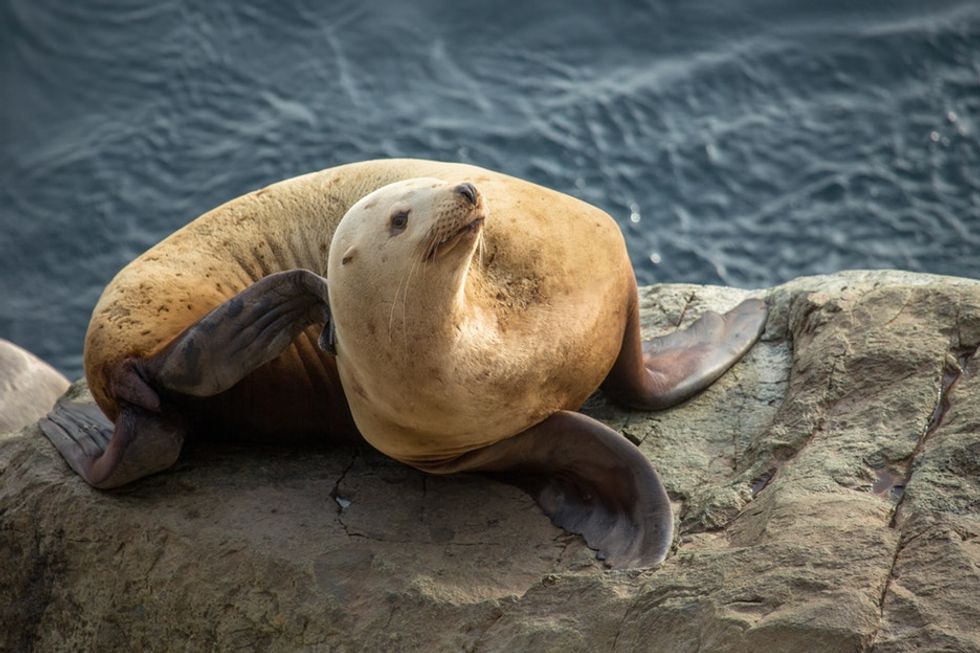 If you don't think twice about the plastic strap around a package, here's why you should.