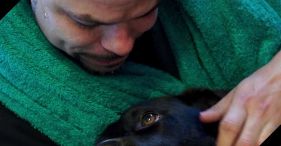A dog on the verge of death meets a prisoner with no hope