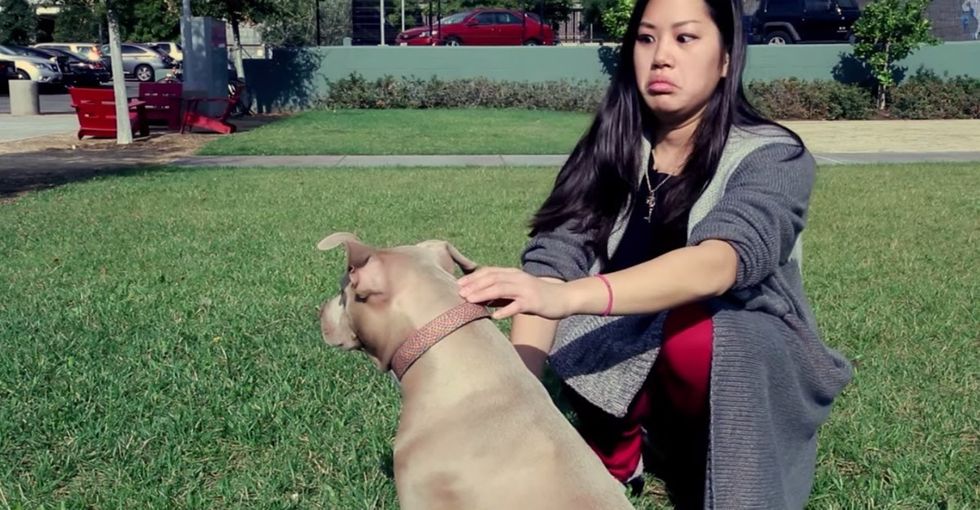 What happens when a non-dog-person meets a pit bull for the first time? Hint: it's not violent.