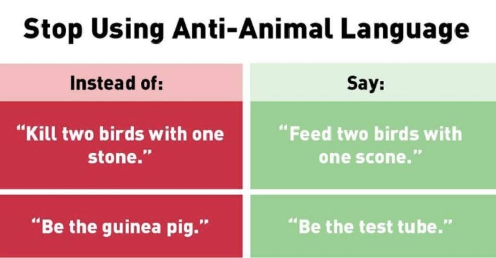 PETA has officially jumped the shark with this meme. (Wait, can I say that?)