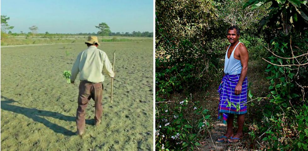 He planted a tree every day for 40 years and transformed this island into a paradise.