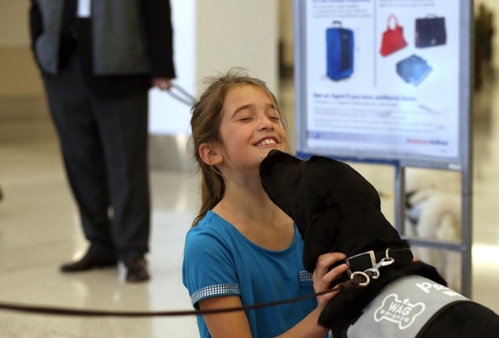 These adorable pics of dogs at airports show why pups are the ultimate stress reliever.