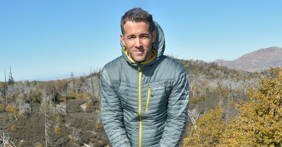 People are hugging trees because Ryan Reynolds asked them to, and it's great.