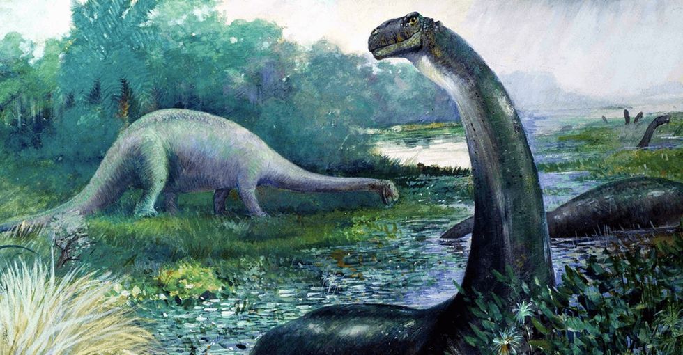 New evidence suggests the Brontosaurus could be real after all.