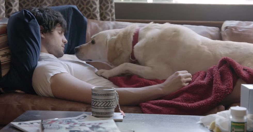 30 seconds in, the dog whimpers. And my heart drops. Thankfully, this story has a happy ending.