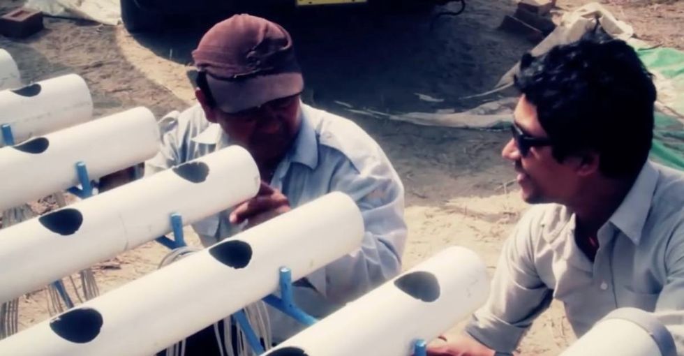 The water on the ground's too nasty for farming, so they're growing crops in the air.