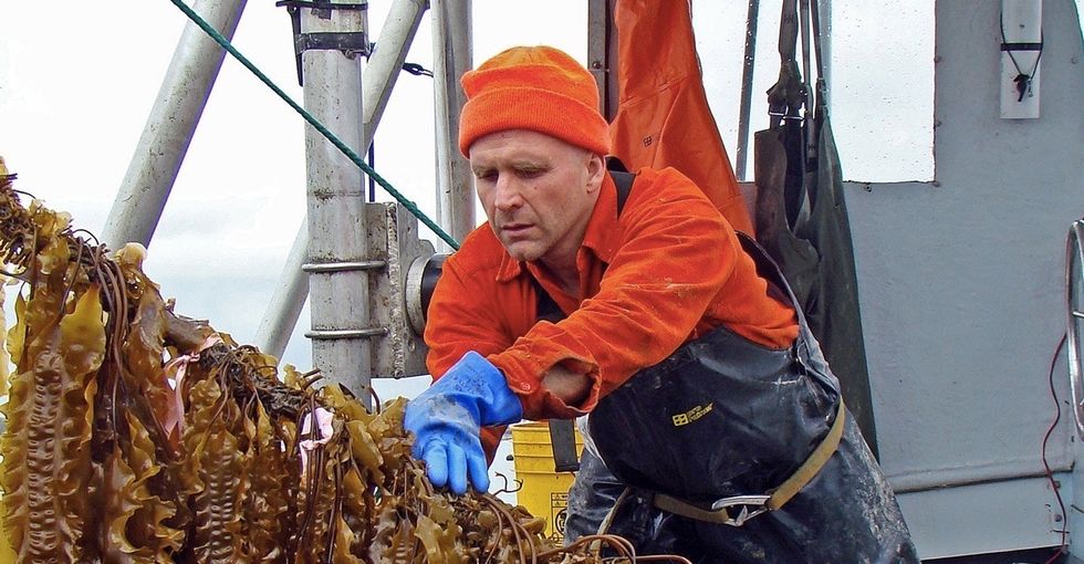 This fisherman's incredible, hidden underwater forests may change food as you know it.
