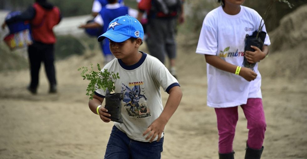 More than 44,000 people came together to set the Guinness World Record for reforestation.