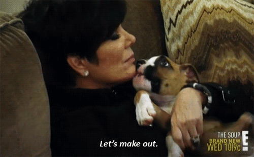 Dogs