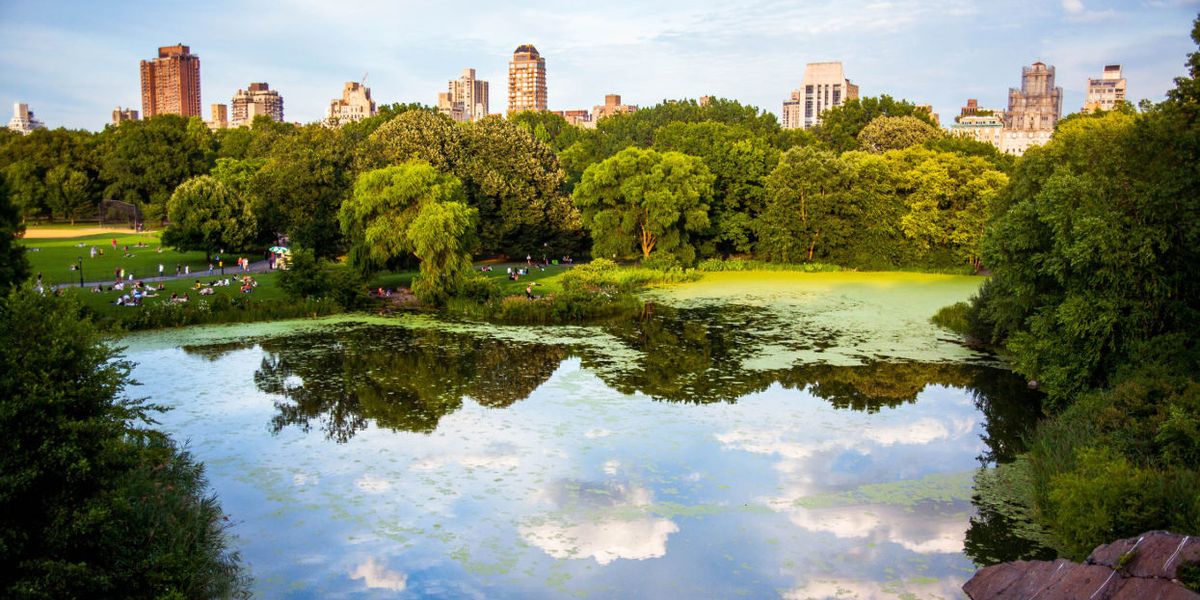 NYC leaders join calls for ban on Monsanto herbicide