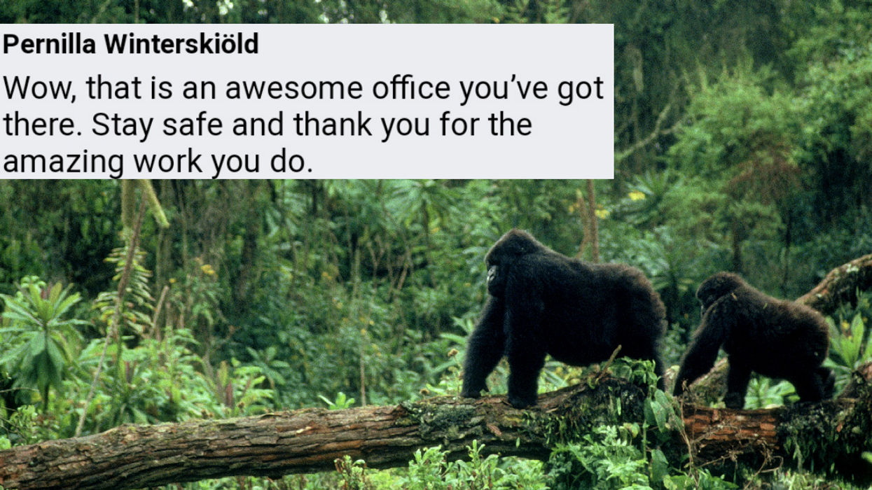 Anti-Poaching Ranger Poses For Hilarious Selfie With Some Of The Coolest Gorillas Around