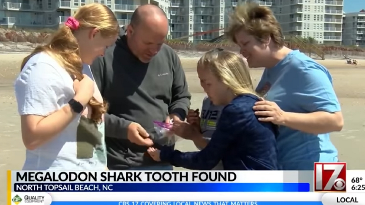 Middle Schooler Stumbles Upon Rare Megalodon Tooth On North Carolina Beach During Spring Break