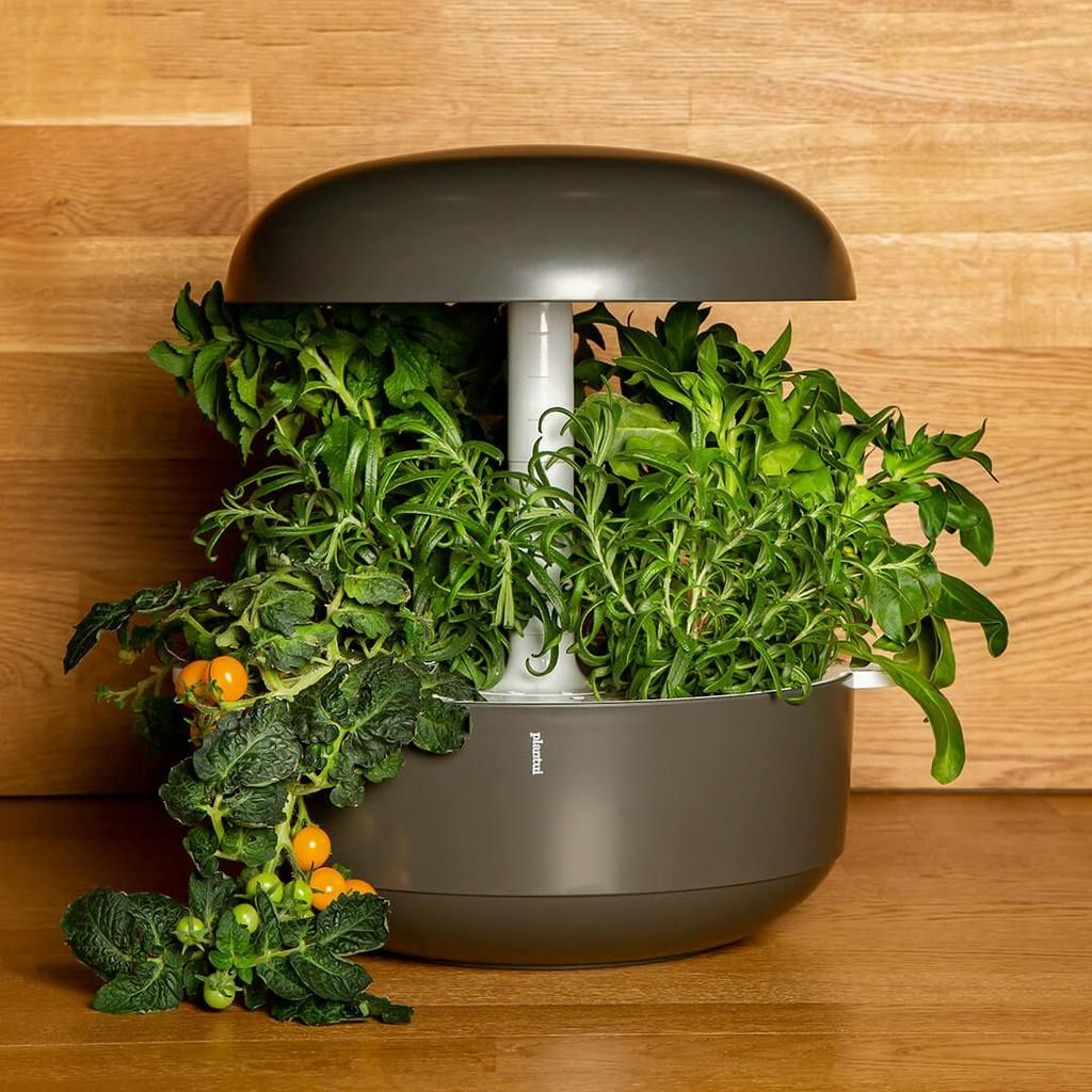 5 smart indoor garden planting kits to liven up your apartment