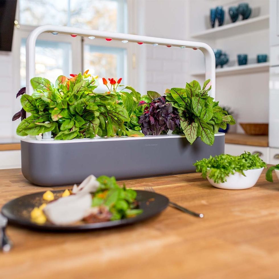 \u200bA photo of the Click and Grow Smart Garden 9, which comes with complimentary plant capsules