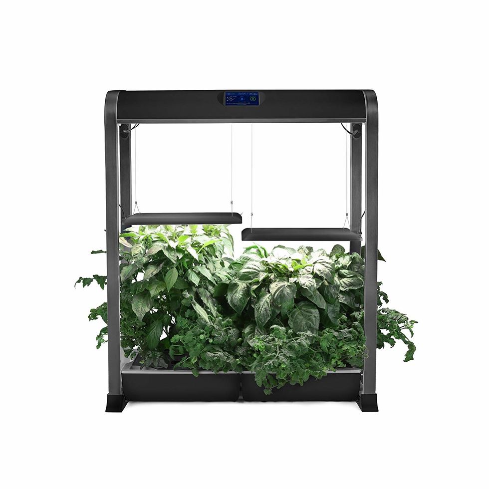 \u200bA photo of the AeroGarden Farm XL, which can grow up to 24 plants and connects to Amazon Echo