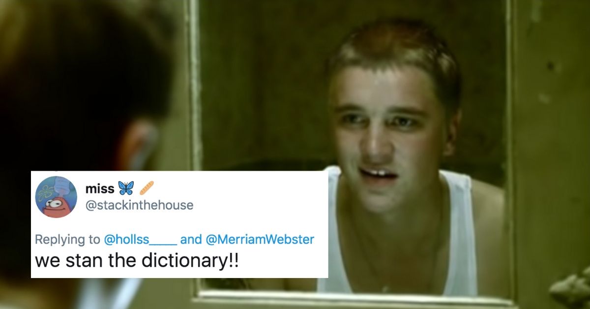 'Stan' Is One Of Over 600 New Words Just Added To Merriam-Webster Dictionary—And We Stan This So Hard