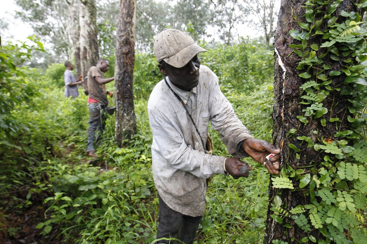 Ecco il libro nero dei «buoni»: la carità globale tra affari e pratiche immorali
