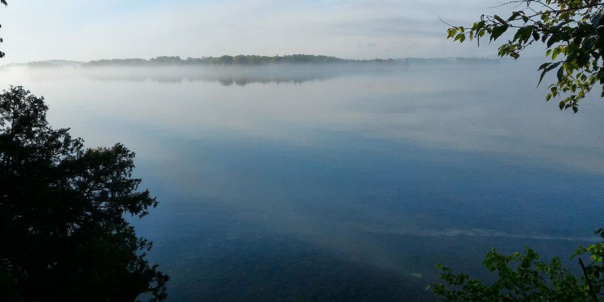 Pesticides are all over the St. Lawrence River — many at levels that hurt fish and invertebrates