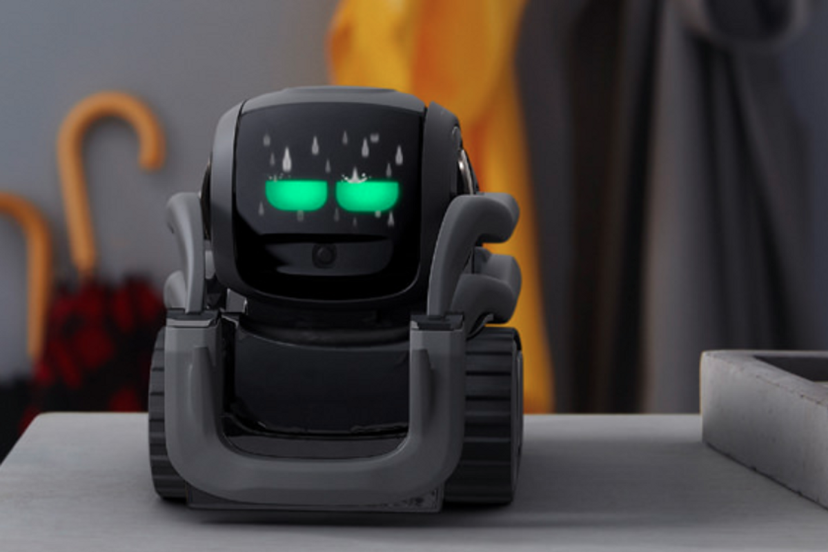 Photo of the Vector robot by Anki