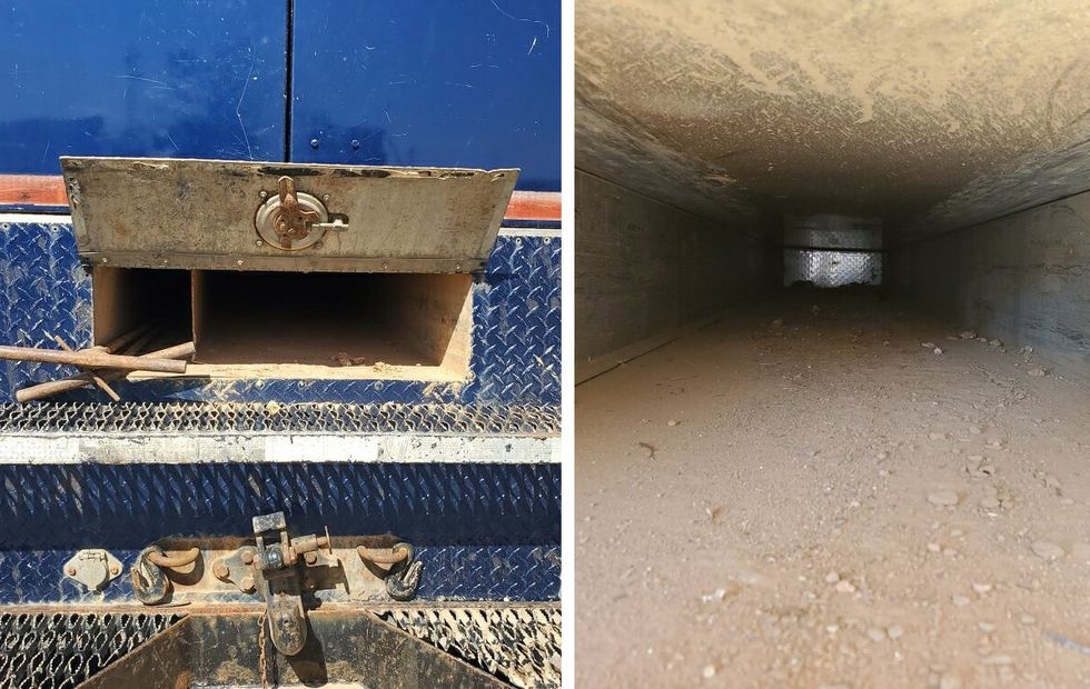 Worker Saw Cat Jump Out of Truck and Later Discovered Kittens Inside Love Meow