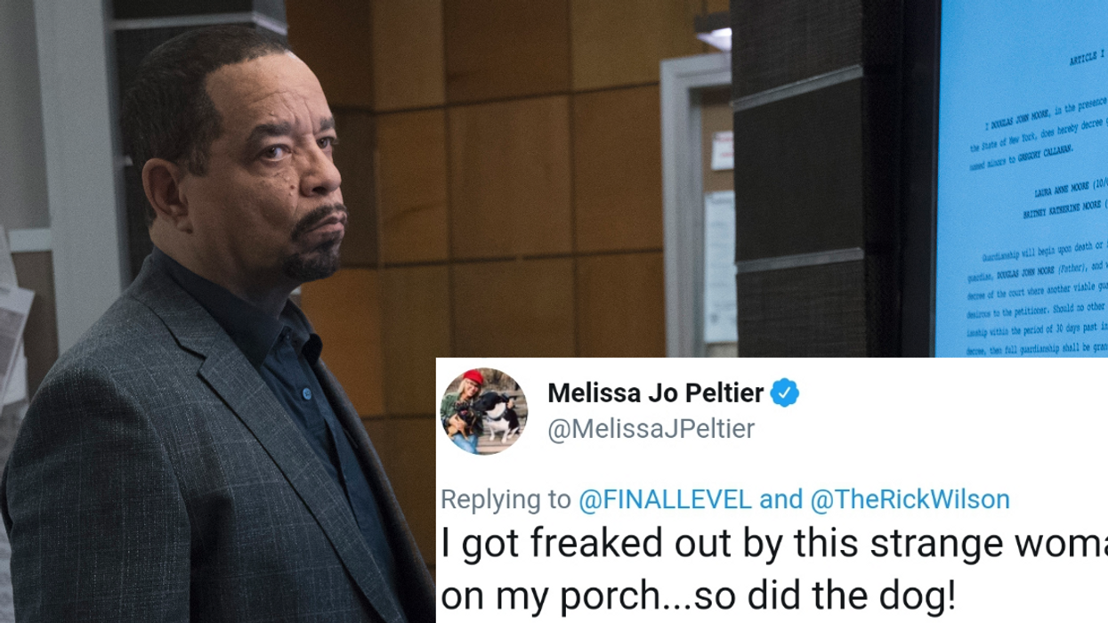 Ice-T Has A Tip For Amazon's Flex Delivery Service After He Claims He Almost Shot Someone