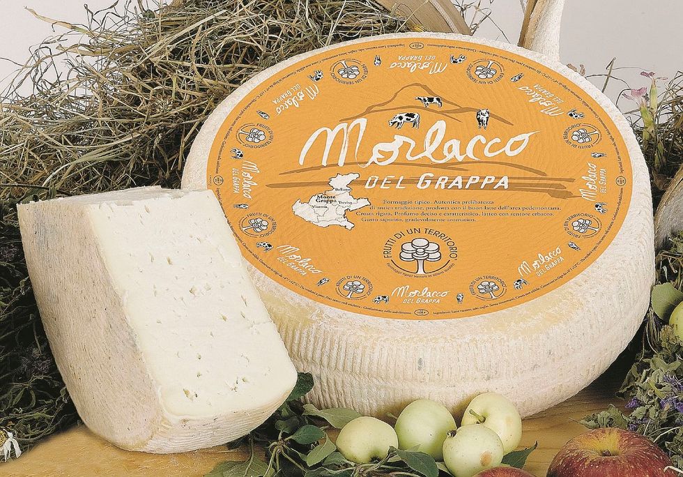 Morlacco, il formaggio dei nomadi che trovò casa sul monte Grappa
