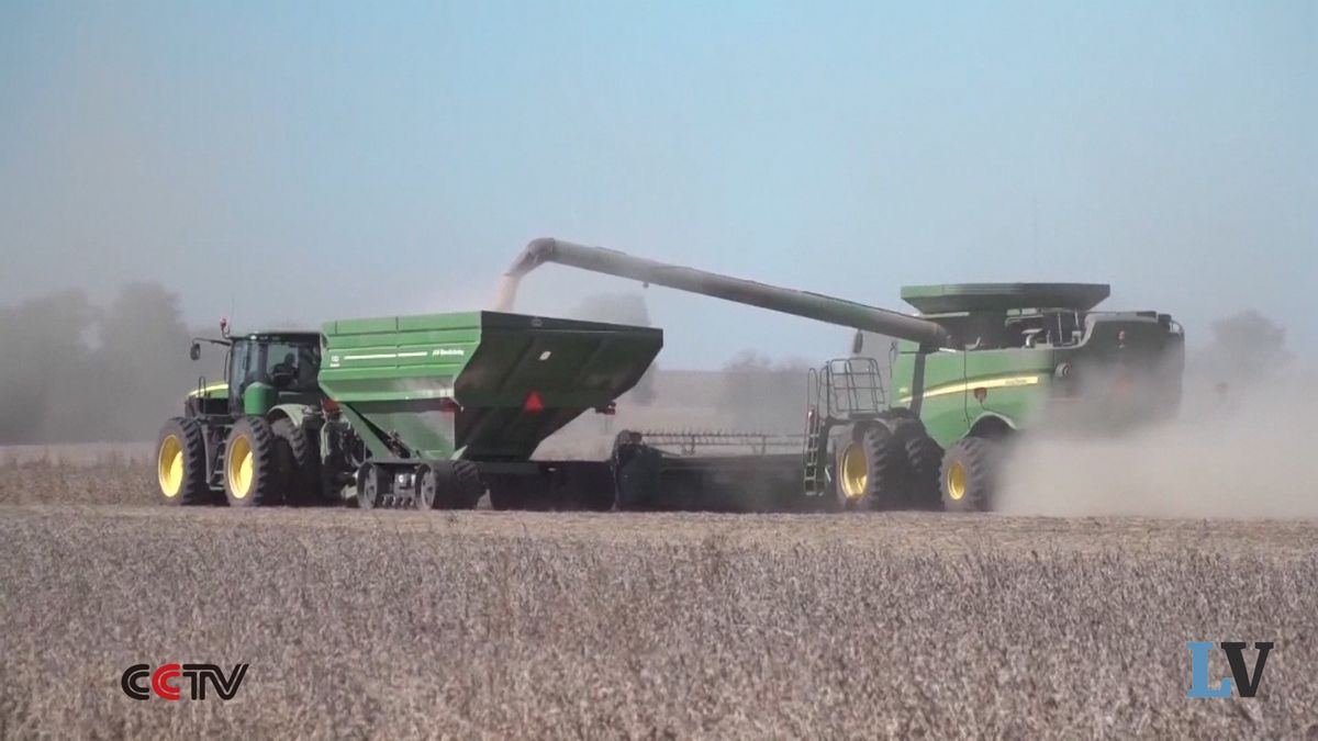 Trump risarcisce i suoi farmer con i soldi dei cinesi