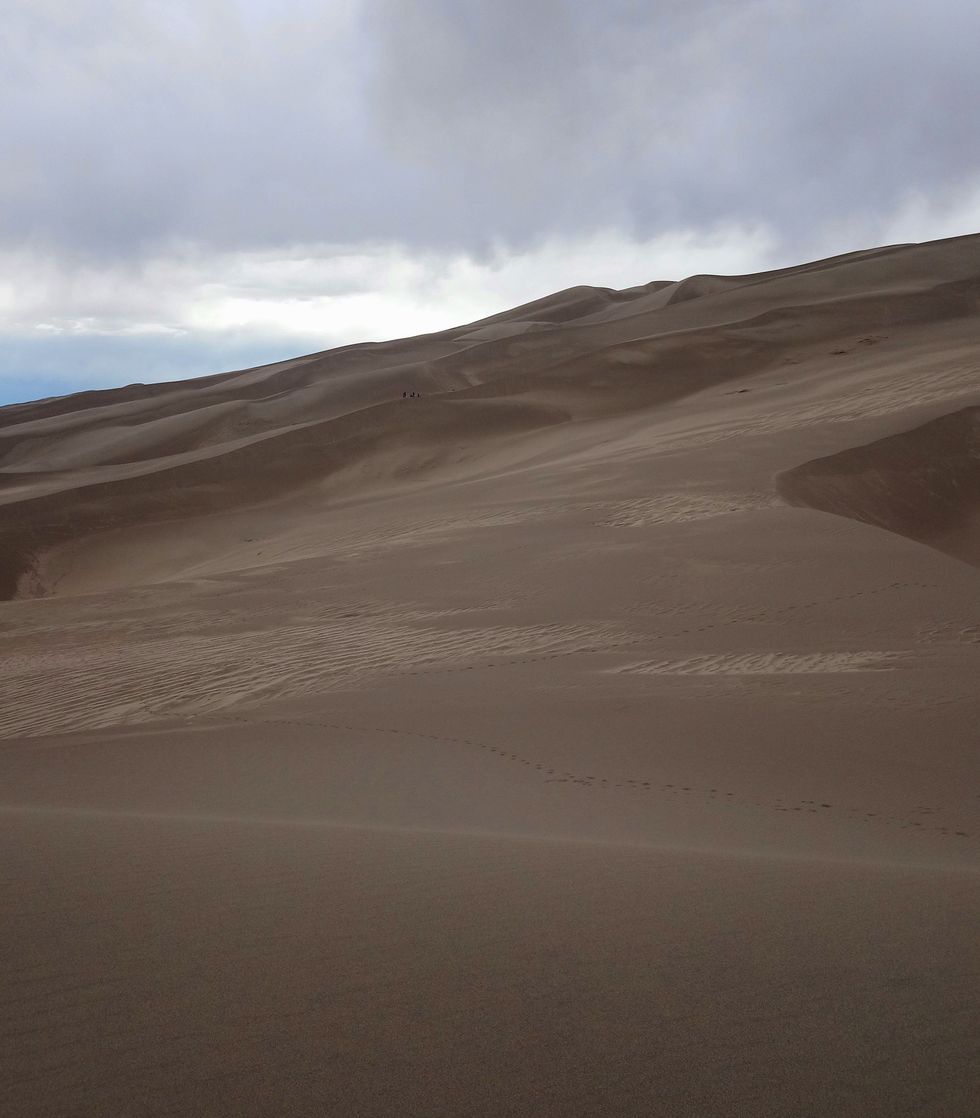 A Beginner's Guide to Sand Sledding