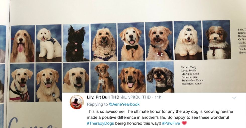 The therapy dogs that helped the Parkland survivors got their own yearbook page, and yes, we're crying.