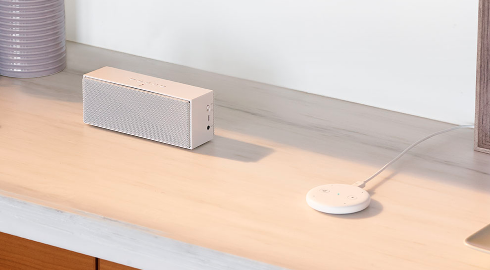 Photo of the Amazon Echo Input