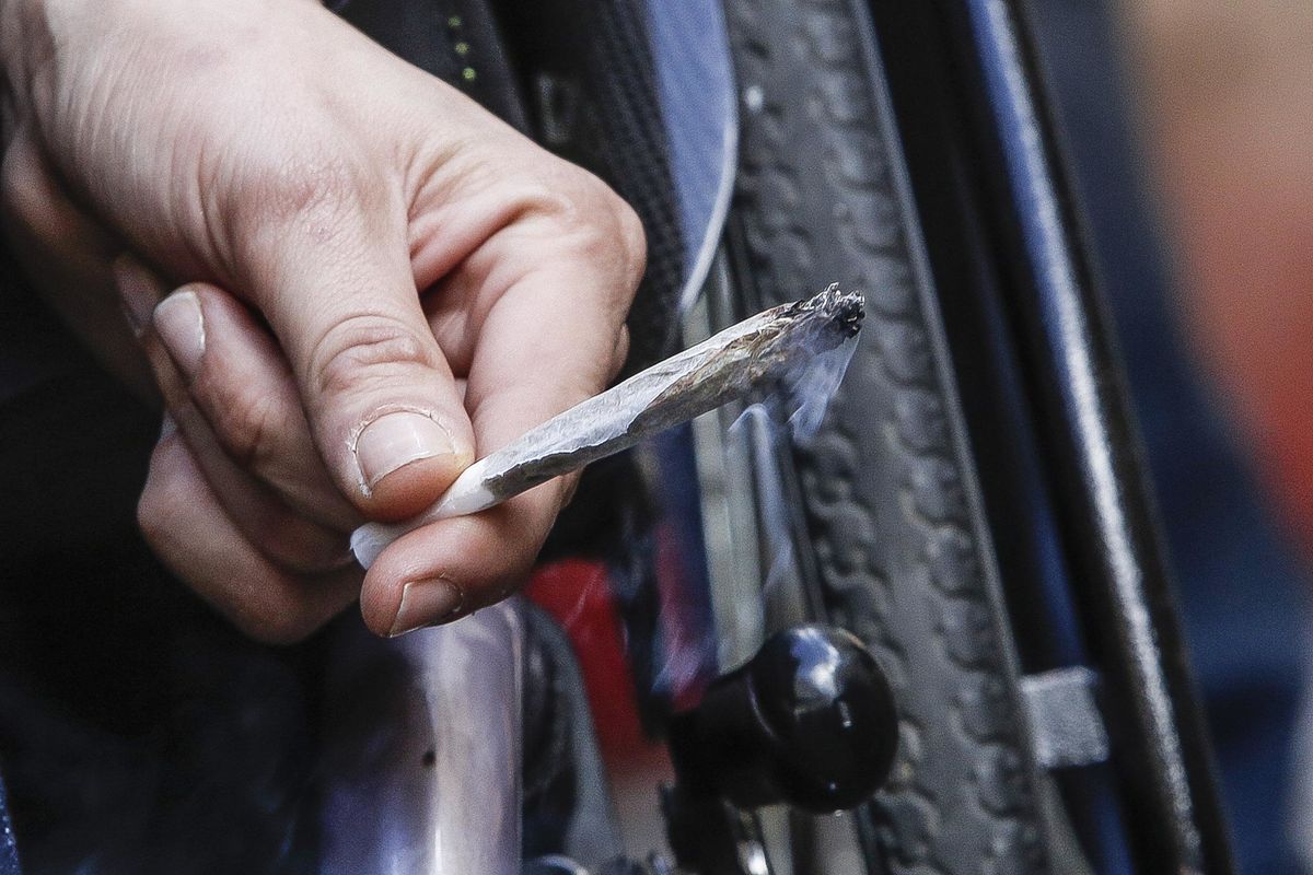 Anche la Cassazione chiude i negozi di cannabis «light»