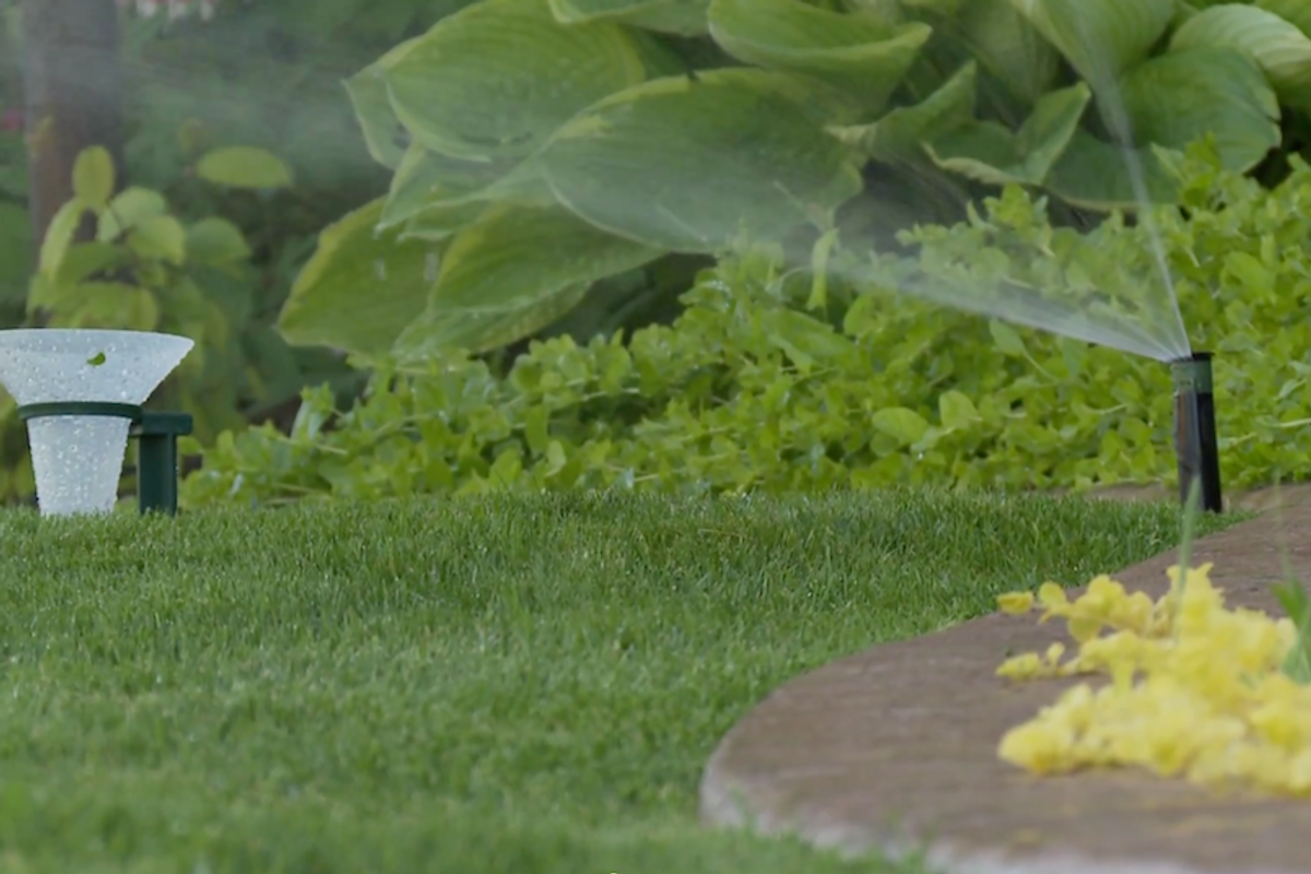 a picture of catch cup test on a lawn