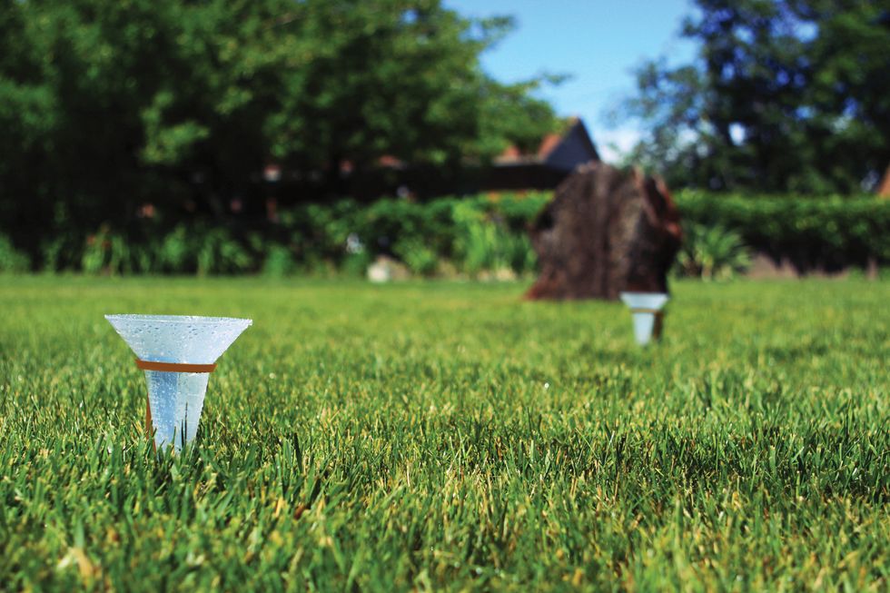 A photo of a lawn with catch cups