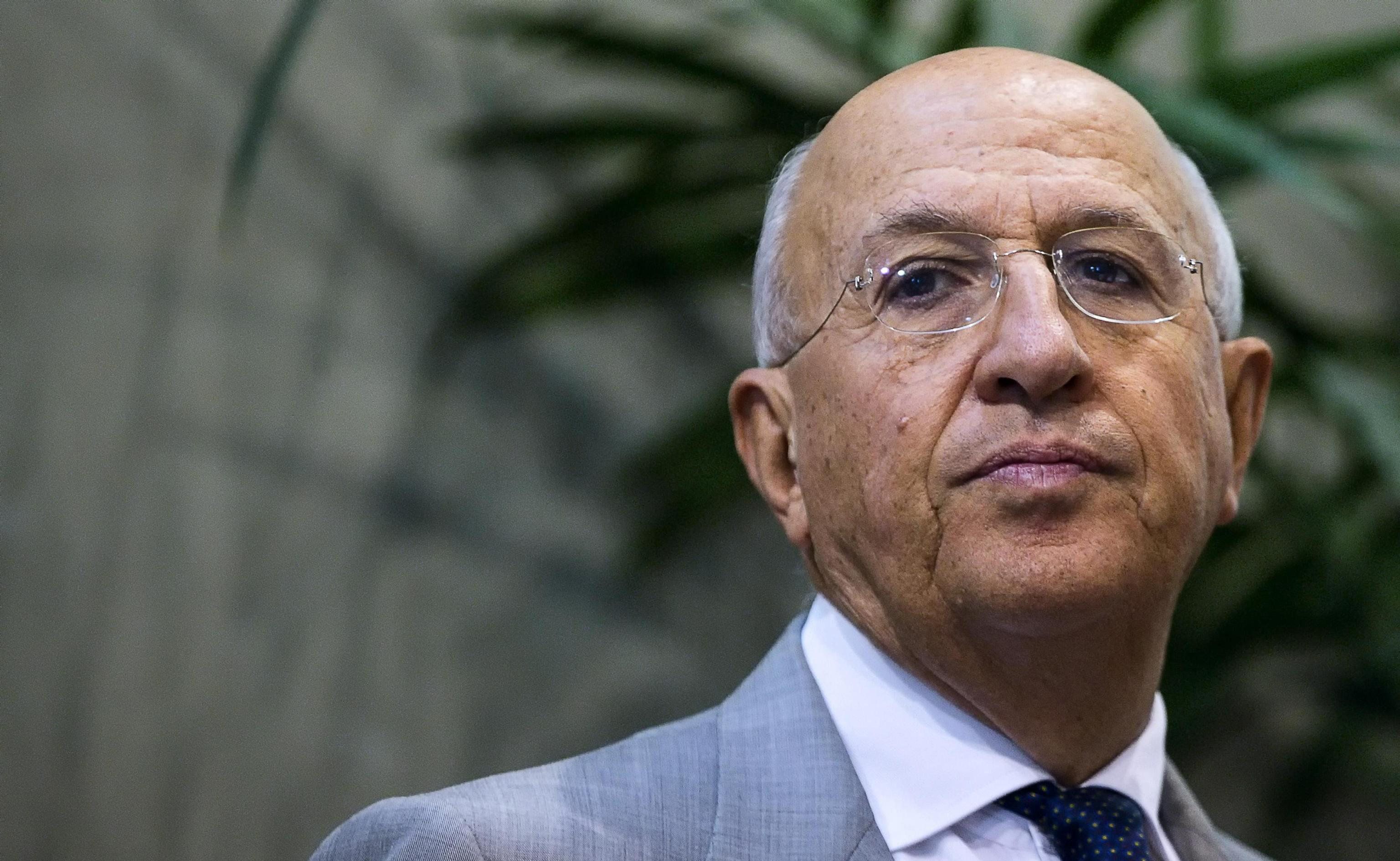 Il «porcellino» furbo che vive sulle poltrone