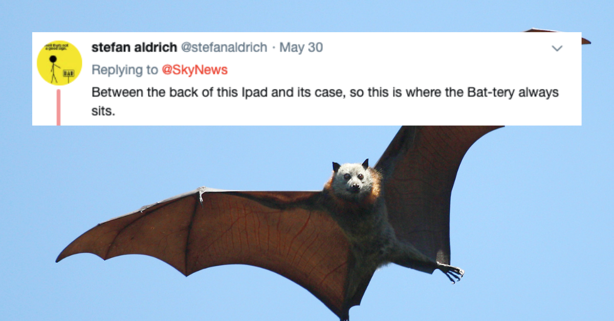 Rabid Bat Hiding In iPad Case Bites Man—And We Have Questions