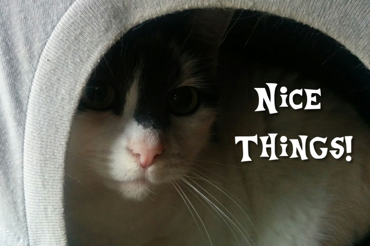 Nice Things Are Bustin' Out All Over