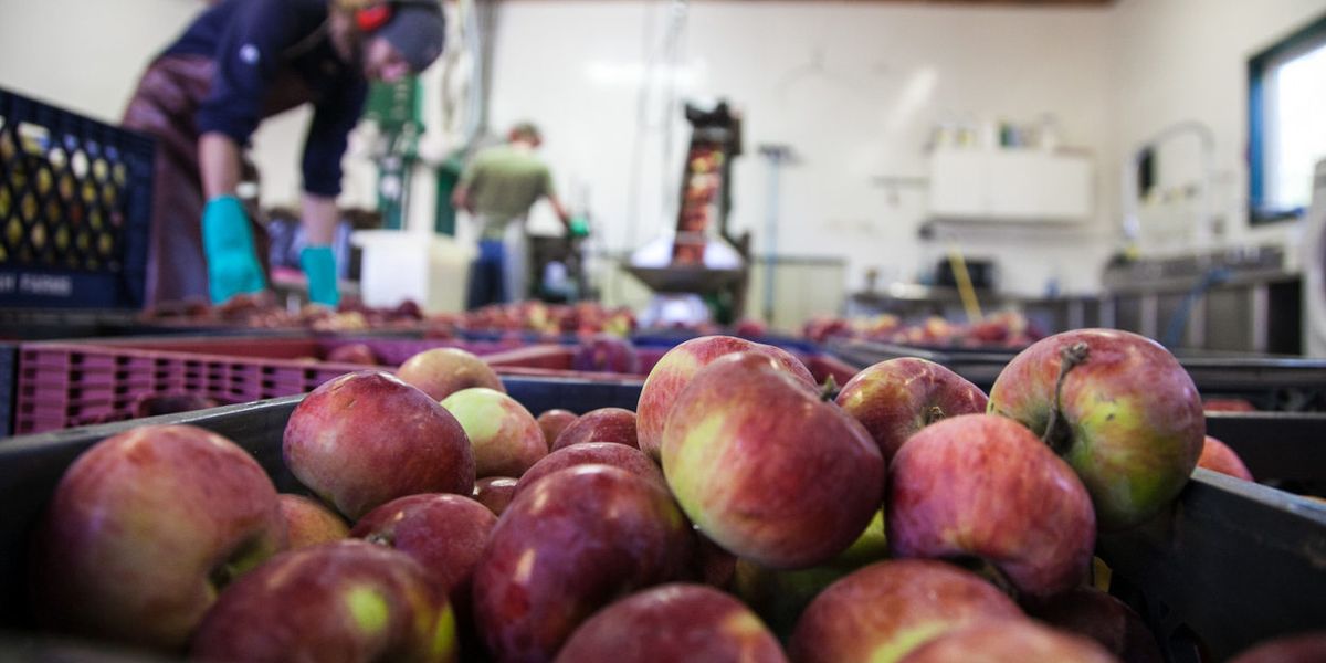 Our food system’s reckoning with nature is coming