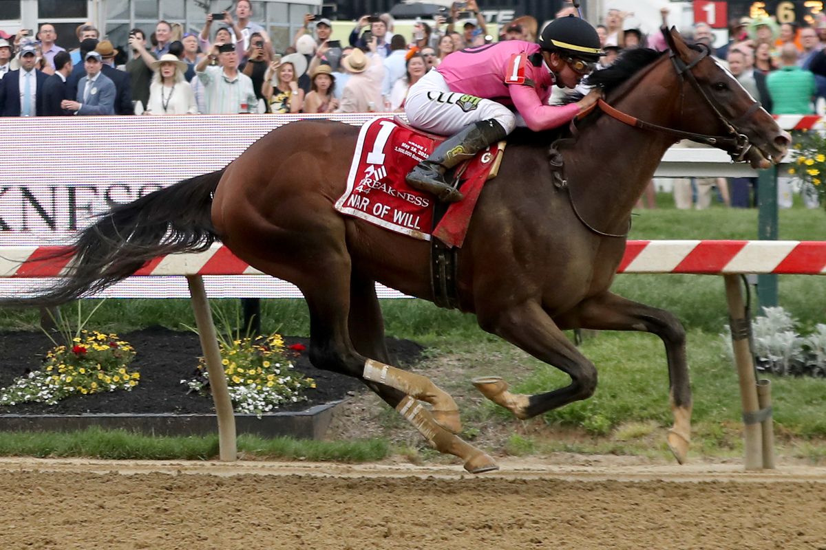 A complete, horse-by-horse look at the Belmont Stakes field