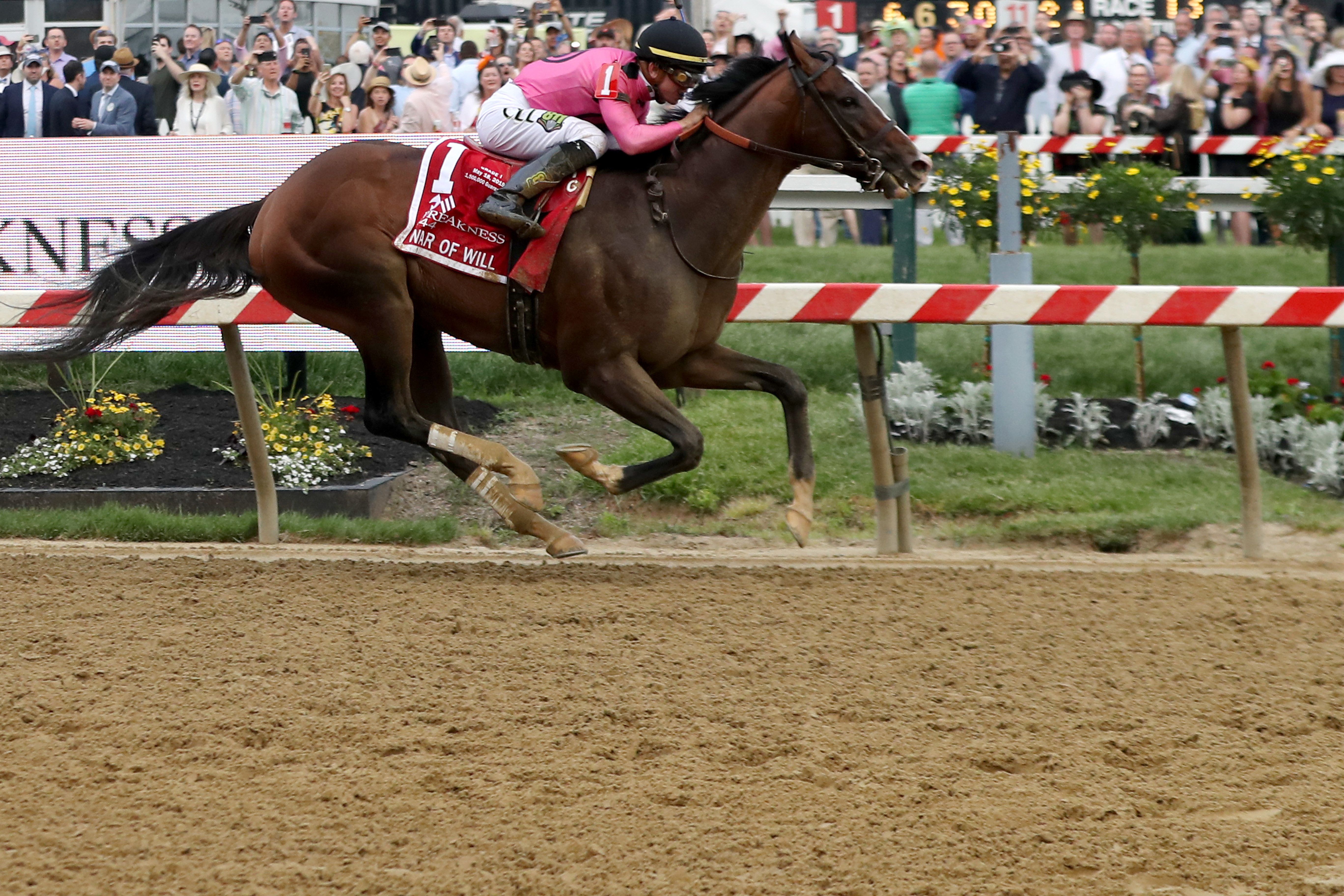 A complete, horse-by-horse look at the Belmont Stakes field