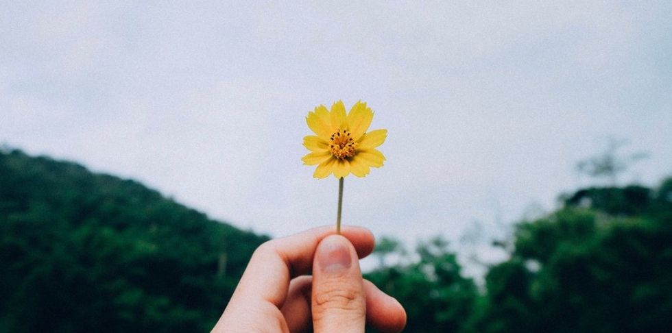 The Power Of Forgiveness