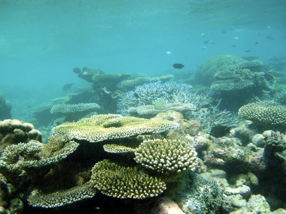 protected marine habitats