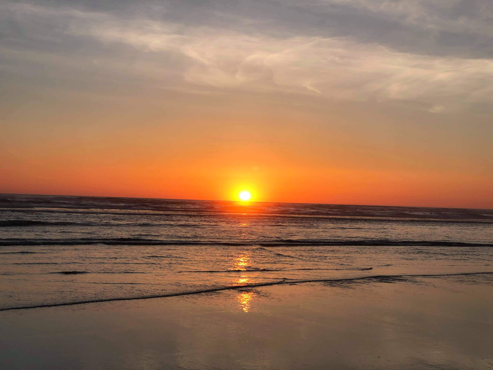 3 Things You Will Find Beside The Ocean